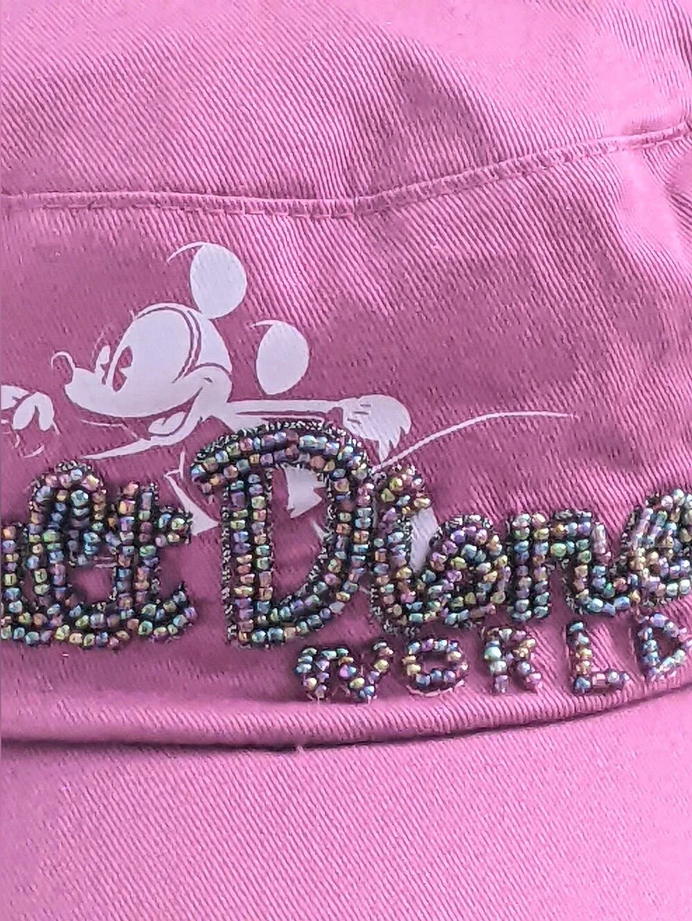 DISNEY PARKS 